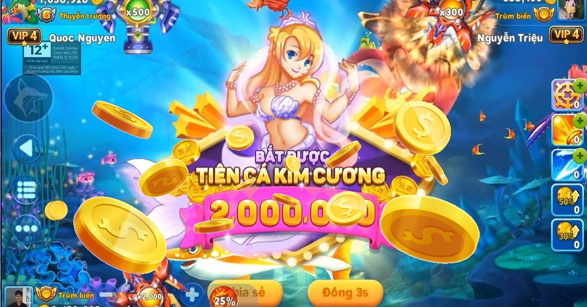 topbet
