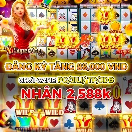 topbet